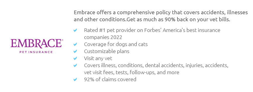 Dog Insurance Liability Nov 2024   Inslowcostlzere 